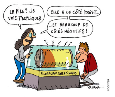 24fr